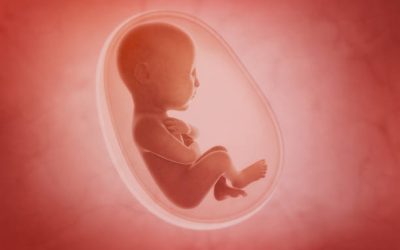 ¿Cómo pueden las emociones vividas en el útero materno, sanar las heridas de alma?