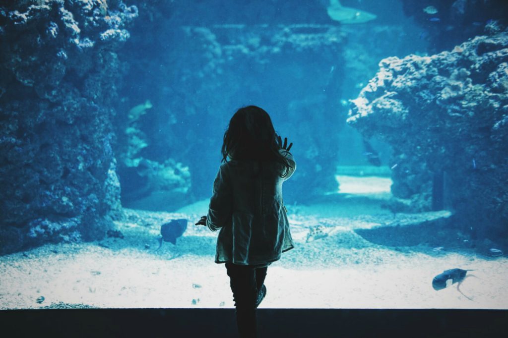 niña-interior-maternaconciencia.com